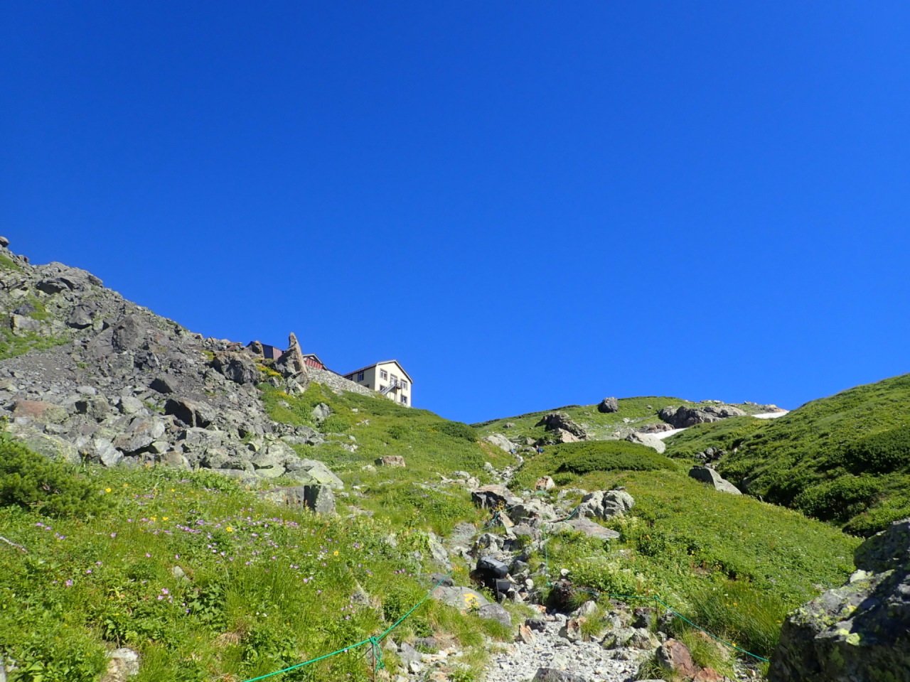 Kuma×Kuma KUMAP  昔、野良犬は、そこら中にいた。今は、野良グマの時代になった。