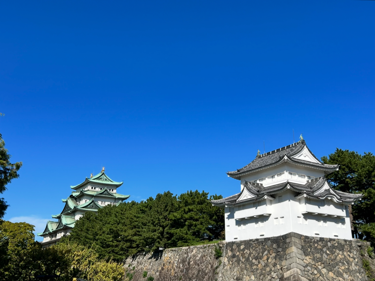 尾張•名古屋決戦。井上尚弥vsアフマダリエフ　Fighting Blood