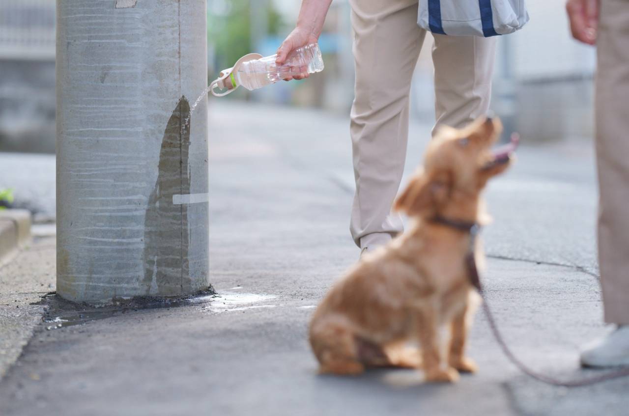 忌避対策。熊から人へのパラダイムシフト。