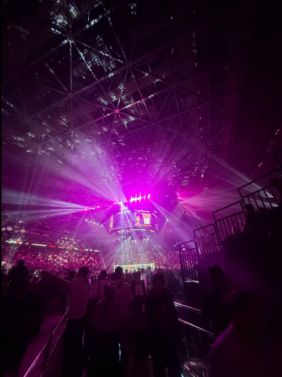 帝拳vs大橋　シュレーティンガーのトラの巻、なのだ‼︎