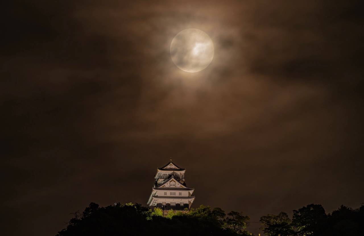 面舵いっぱい、右舷前進。令和版　楽市楽座　になるといいですね。