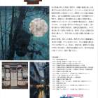 豊橋市美術博物館　村松健二展『とおりをぬけて』